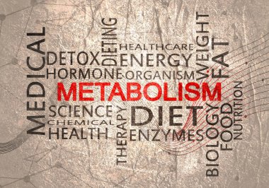 Metabolizmanın kelime bulutu. İnsan sağlığı kavramı