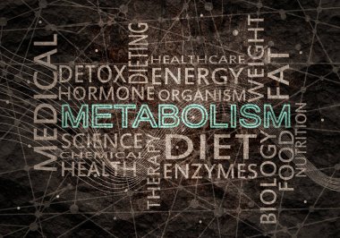 Metabolizmanın kelime bulutu. İnsan sağlığı kavramı