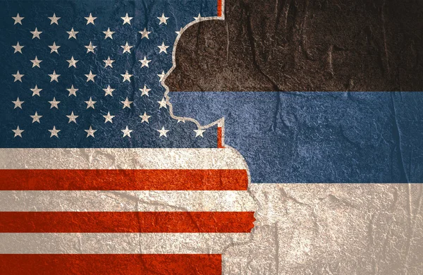 ABD ile Estonya arasındaki ilişkiler. Taş malzemesi grunge dokusu