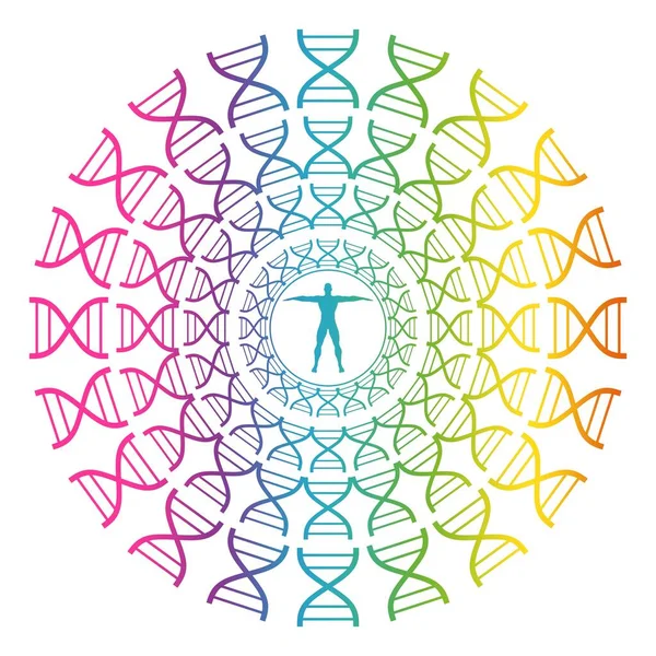 Konzept der Biochemie mit dem abstrakten Dna-Symbol des Menschen — Stockvektor