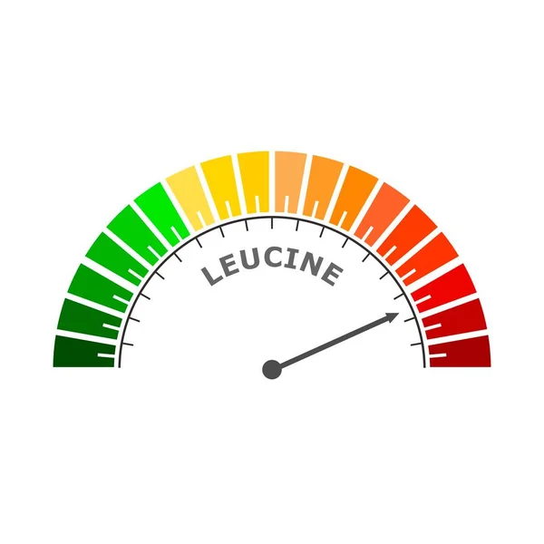 Échelle de niveau leucine. Concept de médecine et de pharmacie — Image vectorielle