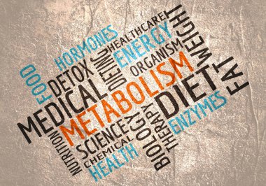 Metabolizmanın kelime bulutu. İnsan sağlığı kavramı