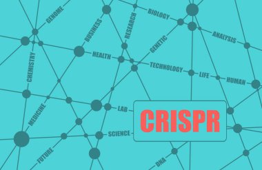 Genom kelimelerini düzenleme, düzenleme ve hedef alma için CRISPR sistemi