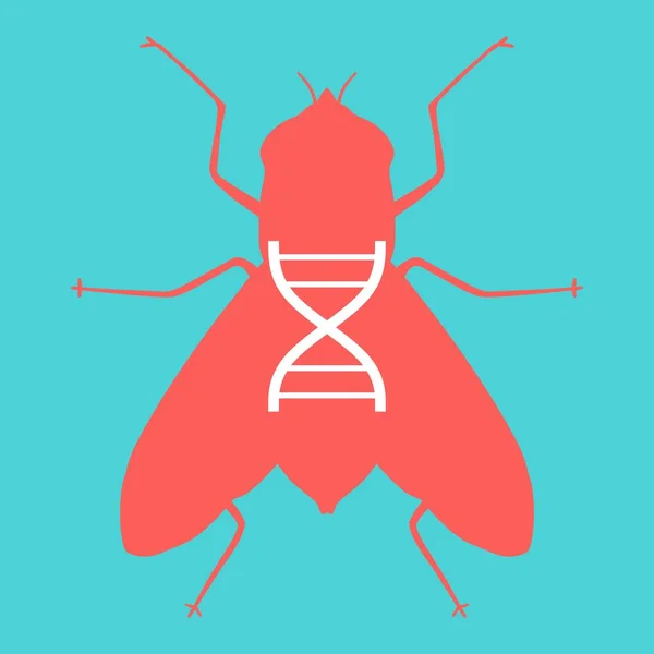 Silhuett av fluga med abstrakt DNA-symbol — Stock vektor