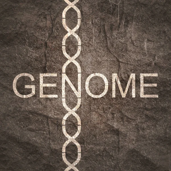 Έννοια της βιοχημείας με αφηρημένο σύμβολο DNA — Φωτογραφία Αρχείου