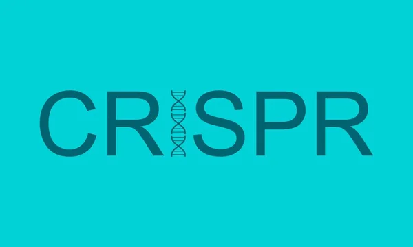 Sistema CRISPR para editar, regular y segmentar palabras de genomas — Vector de stock