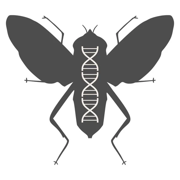 Silhouette der Fliege mit abstraktem Dna-Symbol — Stockvektor