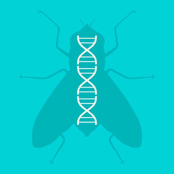 Silueta mouchy s abstraktním symbolem DNA — Stockový vektor