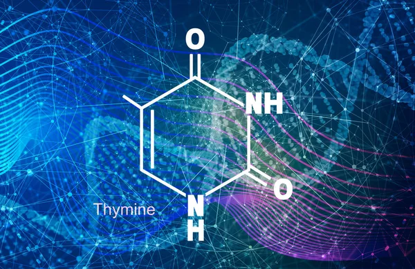 Rumus struktur kimia dari thymine - DNA dan RNA nitrogen dasar — Stok Foto