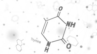 Timinin kimyasal yapısal formülü - DNA ve RNA nitrojen tabanı