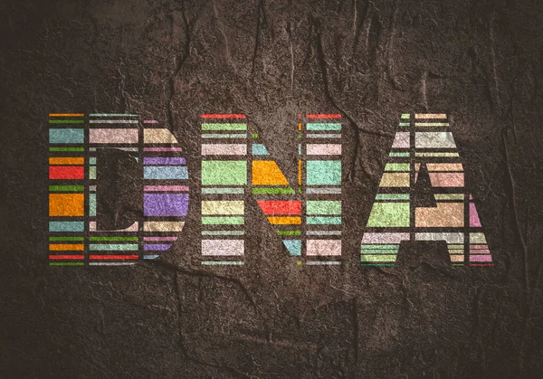 Concepto de bioquímica con acrónimo de ADN pintado con rayas multicolores — Foto de Stock