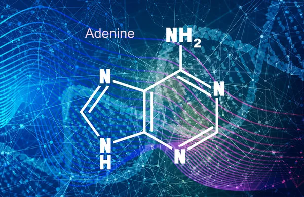 Rumus struktur kimia adenina - basa nitrogen DNA dan RNA — Stok Foto