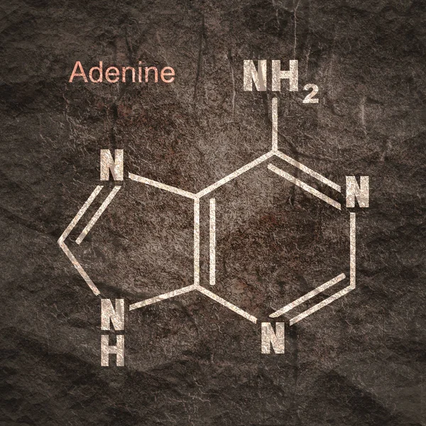 アデニンの化学構造式- DNAとRNAの窒素塩基 — ストック写真