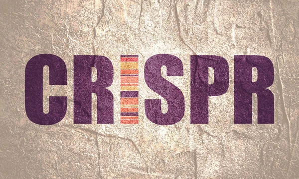 CRISPR система для редагування, регулювання та націлювання на геноми слово — стокове фото