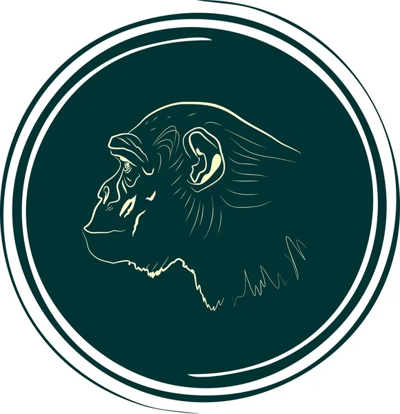 Sylwetka zarys twarzy małpa — Wektor stockowy