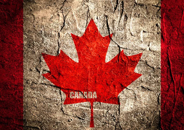 canada flag maple leaf on grunge backdrop