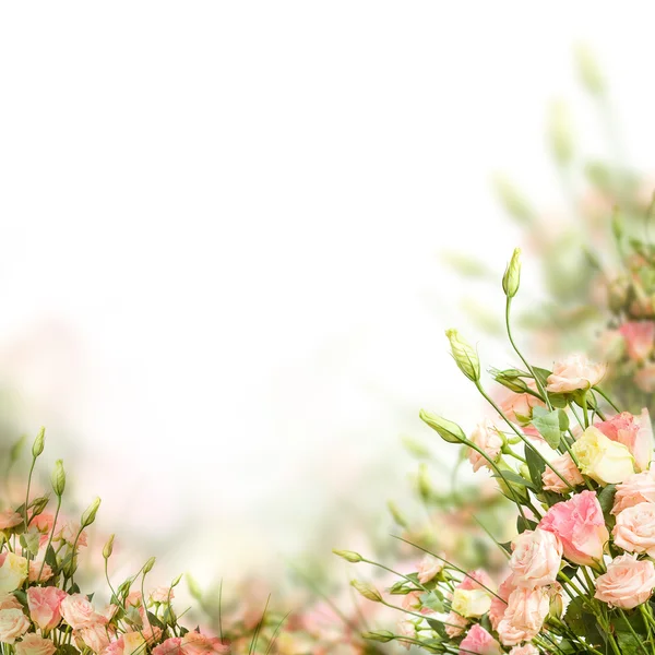 花卉边框。在明亮的背景上的花 — 图库照片