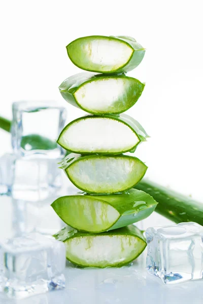 Aloe e cubos de gelo Closeup em fundo branco — Fotografia de Stock