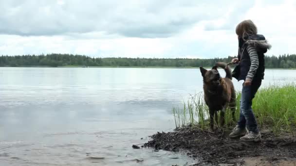 Girl Throws Stick Dog Dog Runs Water Stick — Stock Video