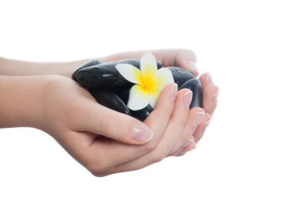 Czarne Kamienie Masażu Tropikalny Kwiat Piękne Ręce Kobiety Manicure Paznokcie — Zdjęcie stockowe