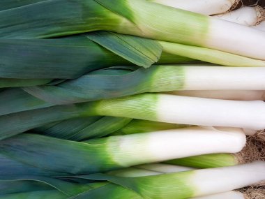 Taze pırasa arka plan, yeşil ve beyaz