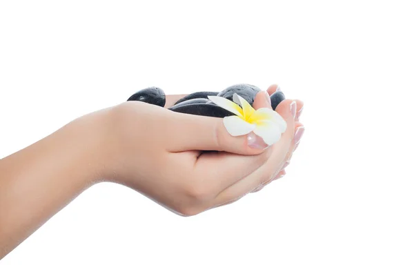 Mains Beauté Avec Des Pierres Massage Noires Fleur Blanche Isolée — Photo