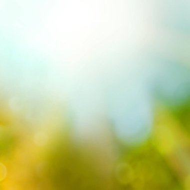 Soyut bir yaz dönemi geçmişi. Bulanık gökyüzü ve yapraklar