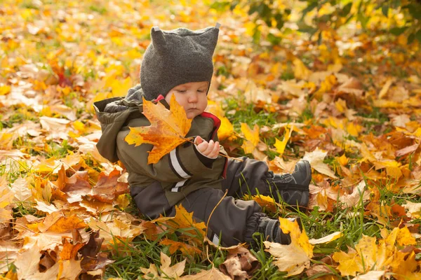 Schattig Klein Jongetje Terwijl Zittend Grond Met Herfstbladeren Herfstportret — Stockfoto