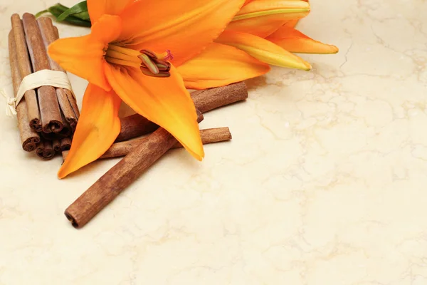 Interior detail, background with flowers and cinnamon on marble — Stock Photo, Image