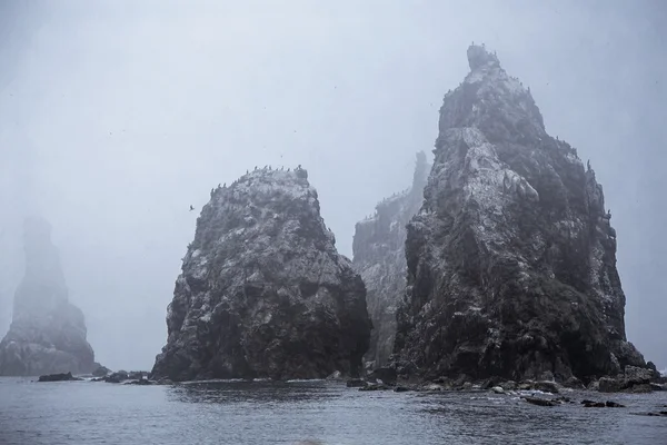 rocks in Japanese sea