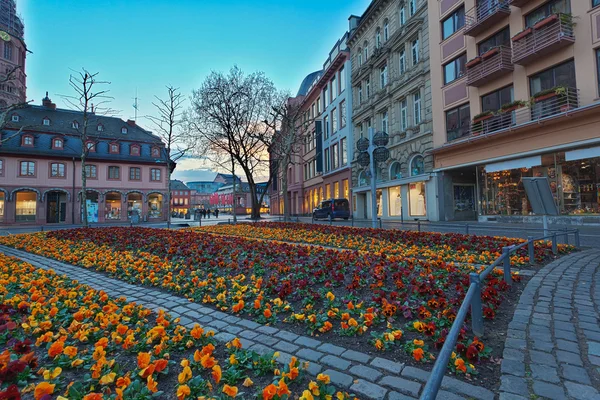 Flowerbed in european city center — Stock Photo, Image