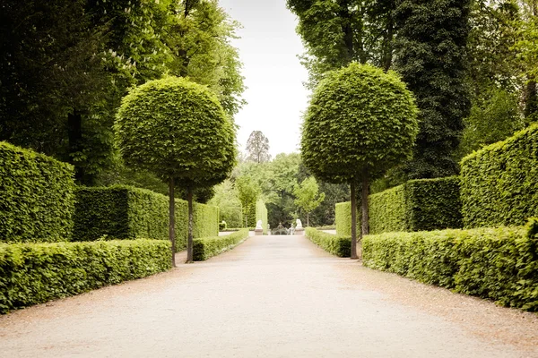 European park landscape design — Stock Photo, Image