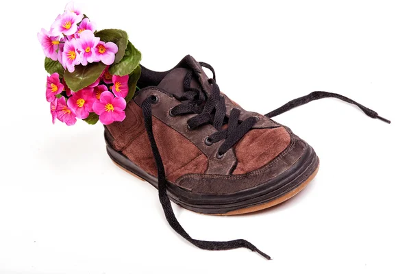 Brauner Männerschuh mit Blumen — Stockfoto