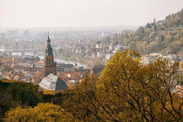 Heidelberg Przewodniczący Obrazy Stockowe bez tantiem