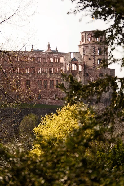 Gamla slottet i Heidelberg Royaltyfria Stockfoton