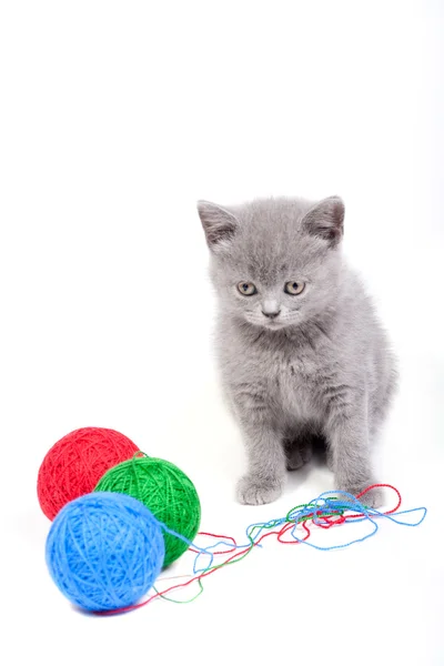 Pequeño gatito jugando con clews de lana Fotos de stock libres de derechos