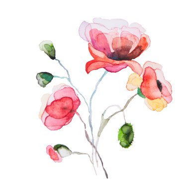 İzole bahar çiçekleri suluboya