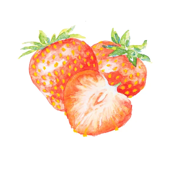 Den strawberry akvarell isolerade — Stockfoto
