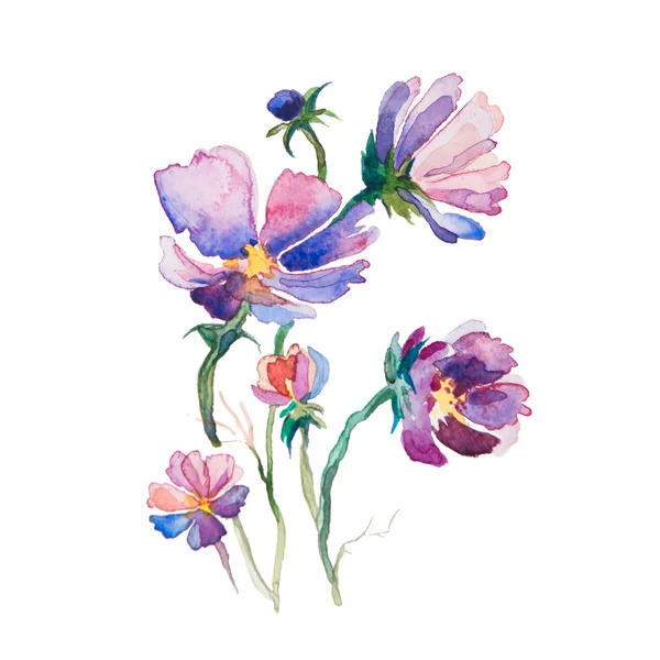 Den vår blommor akvarell isolerade — Stockfoto