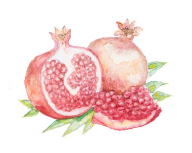 İzole garnet suluboya