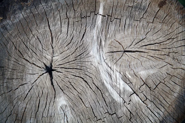 The texture of wood for background — Stock Photo, Image