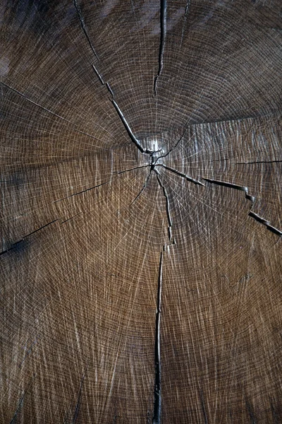 The texture of wood for background — Stock Photo, Image