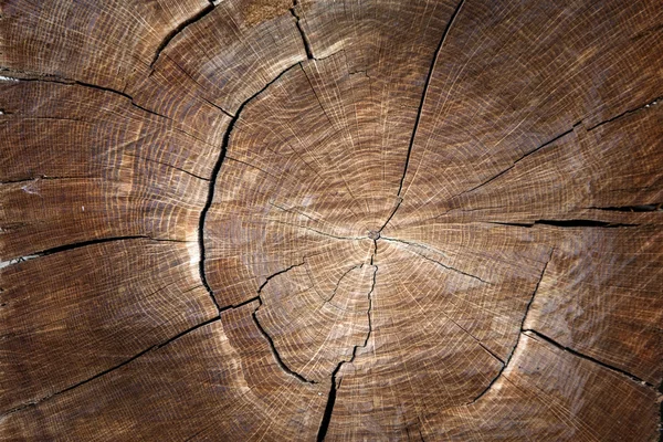 La textura de la madera para el fondo —  Fotos de Stock