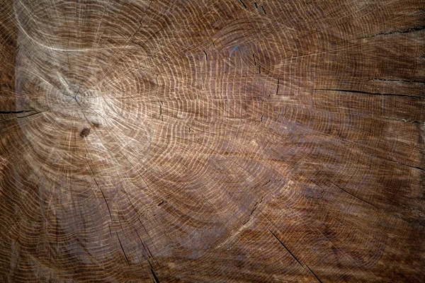 The texture of wood for background — Stock Photo, Image