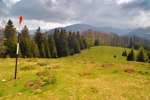 Carpathians — Stock Photo, Image