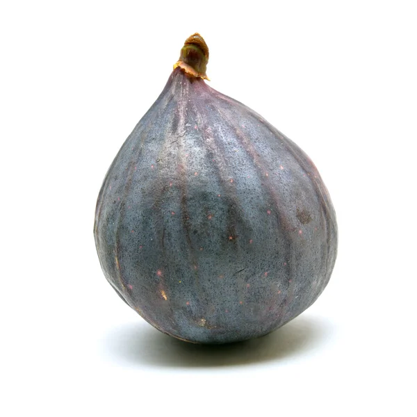 Fig isolato su bianco — Foto Stock