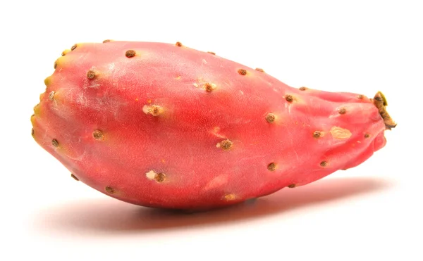 Un frutto di cactus — Foto Stock
