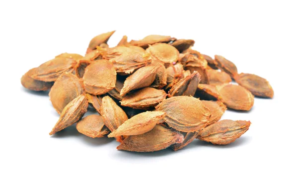 A pile of apricot kernel — Stock Photo, Image