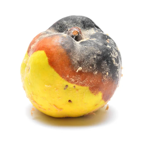 Rotten putrid fruit — Stock Photo, Image