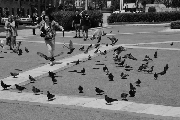 Dívka holubi Atény — Stock fotografie